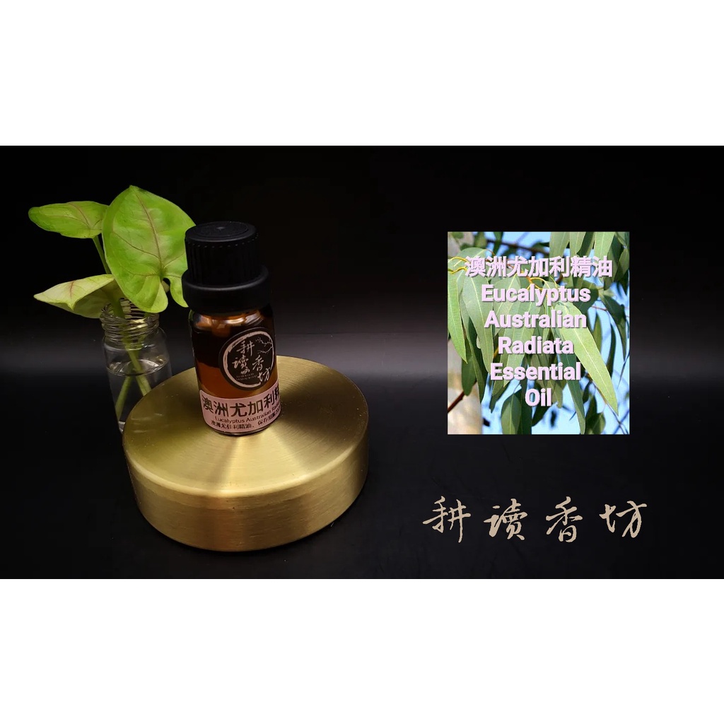 [耕讀香坊]100%純天然澳洲尤加利精油 Eucalyptus Australian Radiata 10ml裝