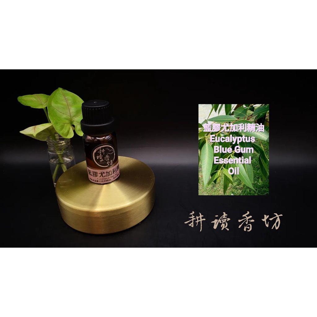 [耕讀香坊]100%純天然藍膠尤加利精油 Eucalyptus Blue Gum Essential Oil 10ml裝